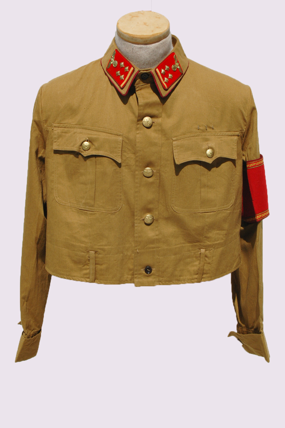 NSDAP Political Leaders Un-Worn Brownshirt